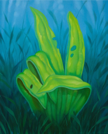 Victorious plant, 50 x 40, ol na pl, 2024